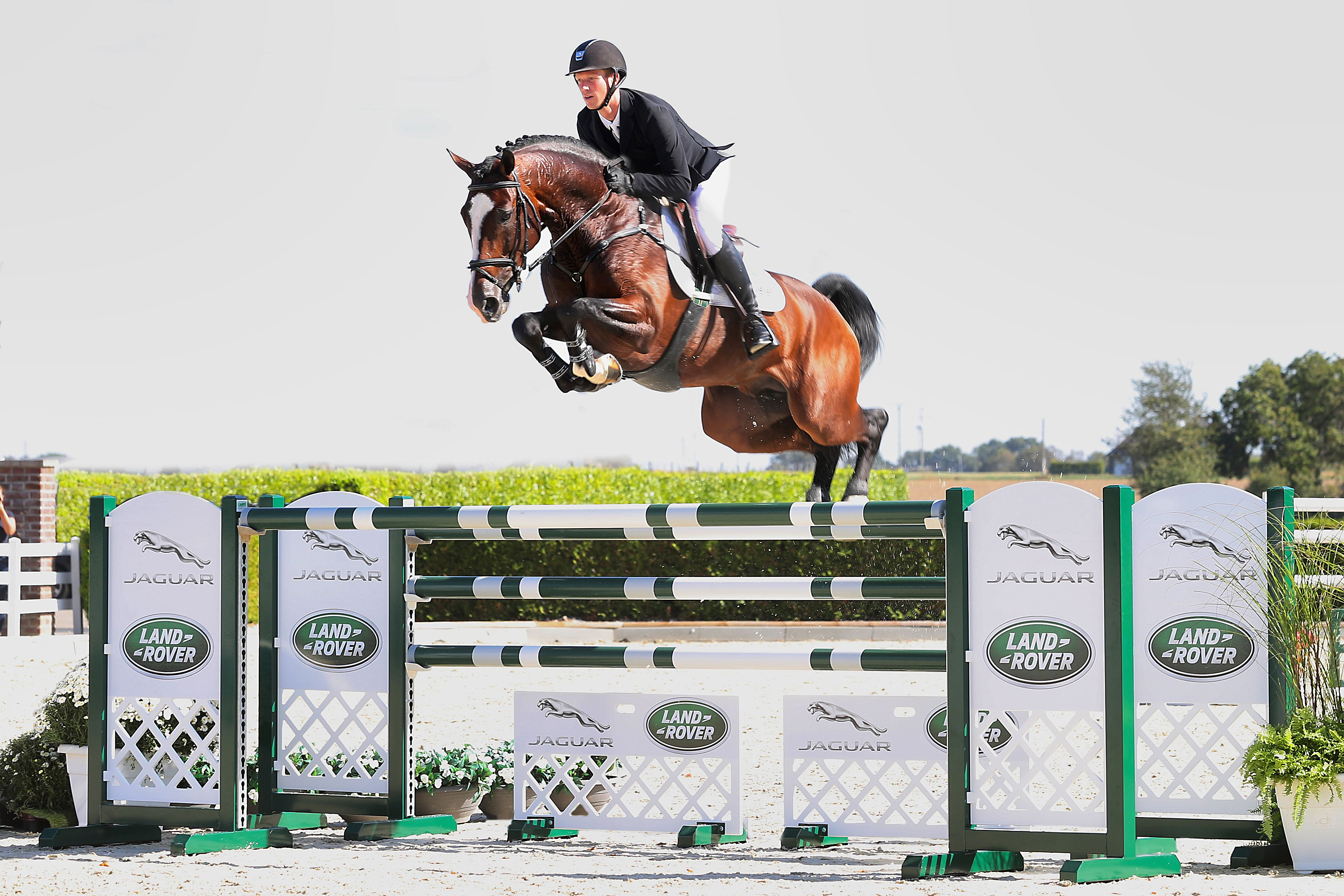 14. Internationale Springpferdeauktion Sport Horse Sales - 20